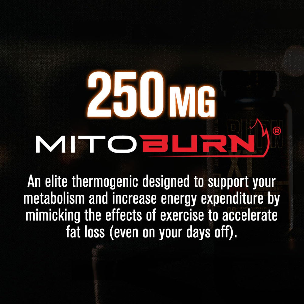 Close-up of Burn-XT Max capsules highlighting everyday convenience