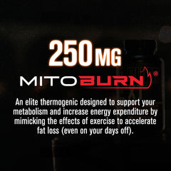 Close-up of Burn-XT Max capsules highlighting everyday convenience