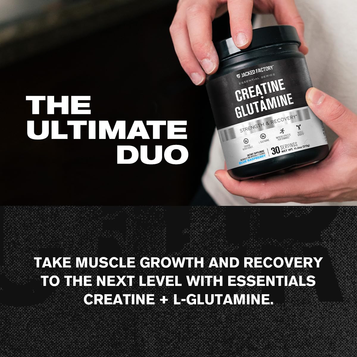 Close-up of Creatine Monohydrate and L-Glutamine powder and scoop