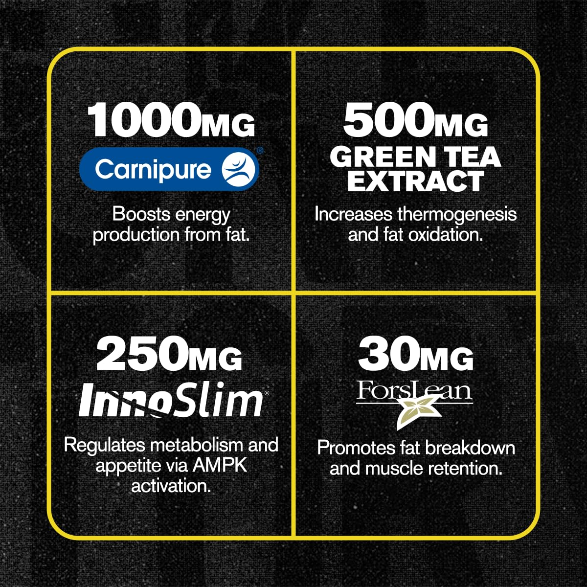 Jacked Factory Lean-XT Max bottle back label with ingredients