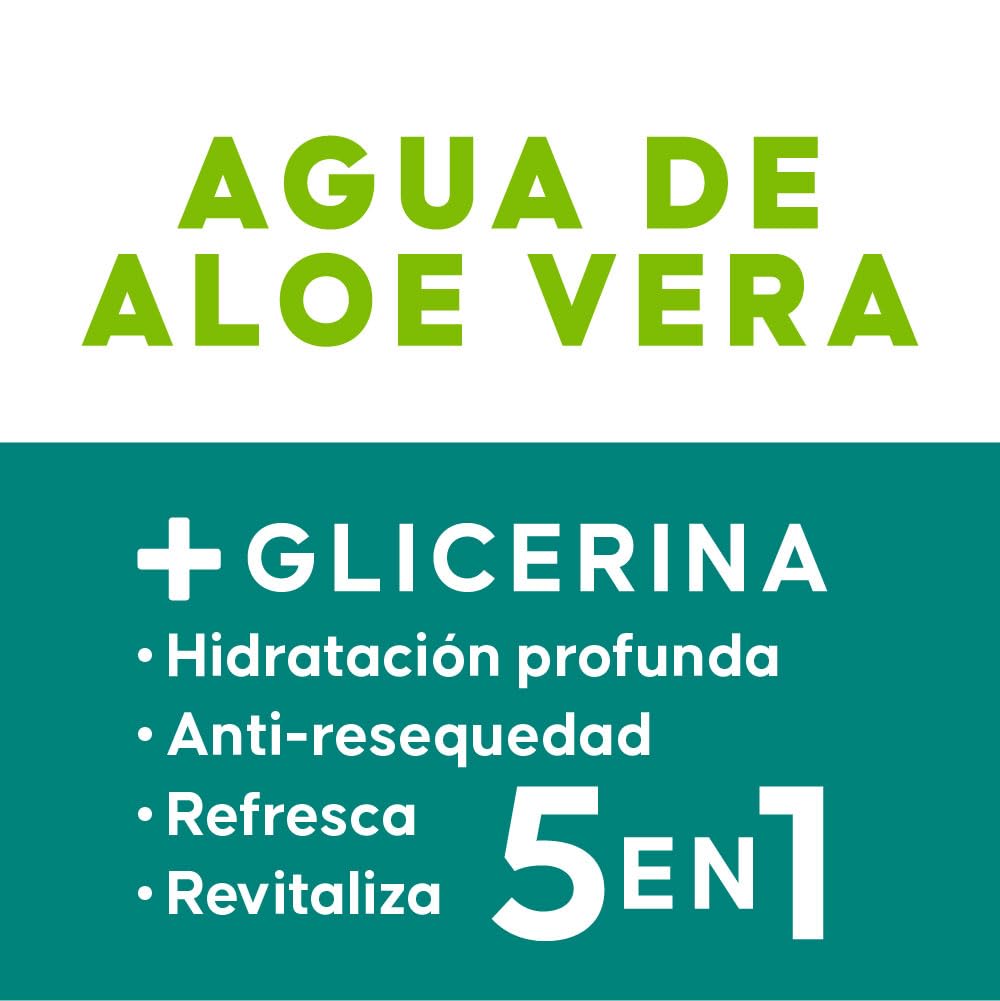 Jaloma Aloe Vera Water bottle with fresh aloe leaves