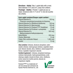 Jar with no artificial flavors or preservatives label for Jamieson B100 Timed Release