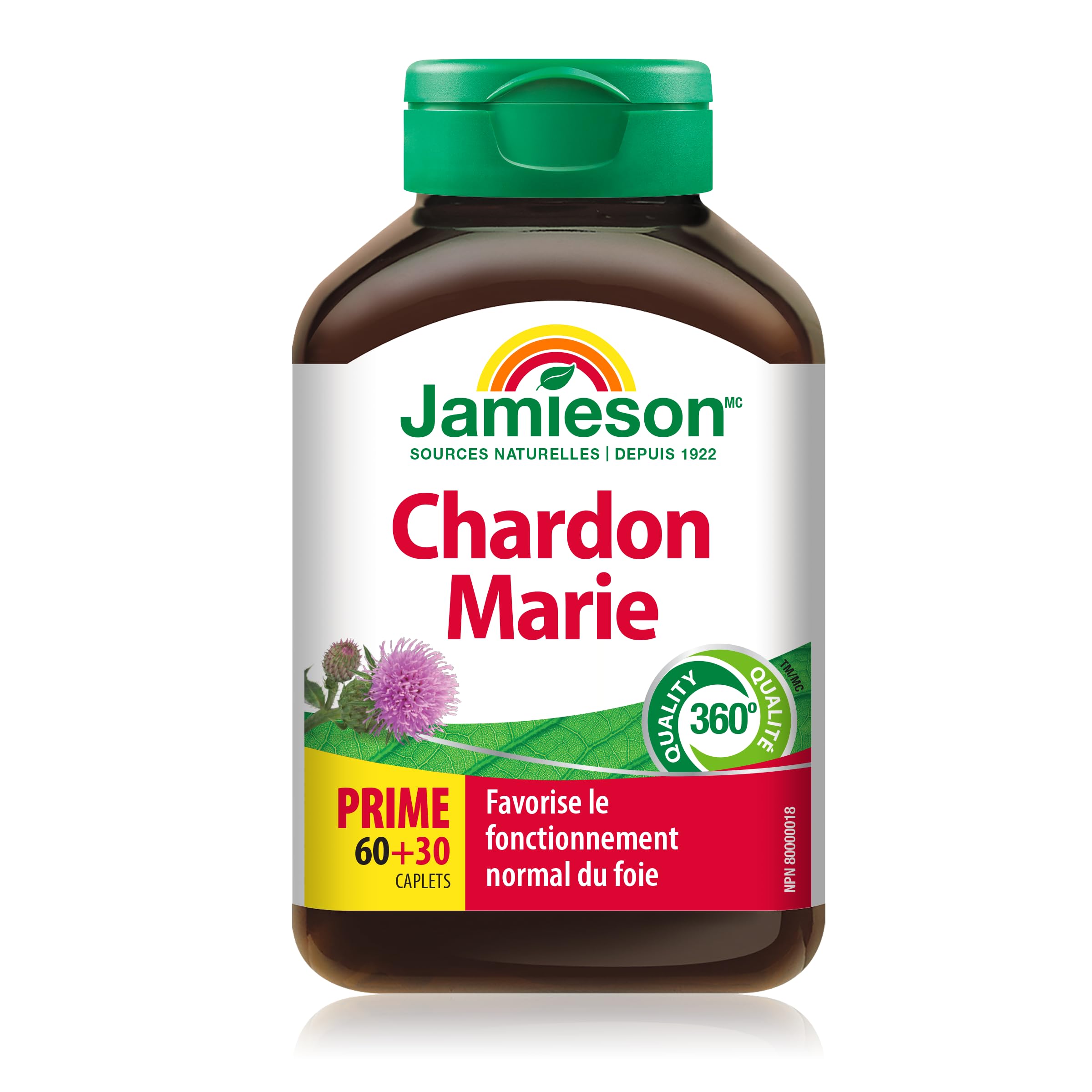 Milk thistle plant illustration used for Jamieson product