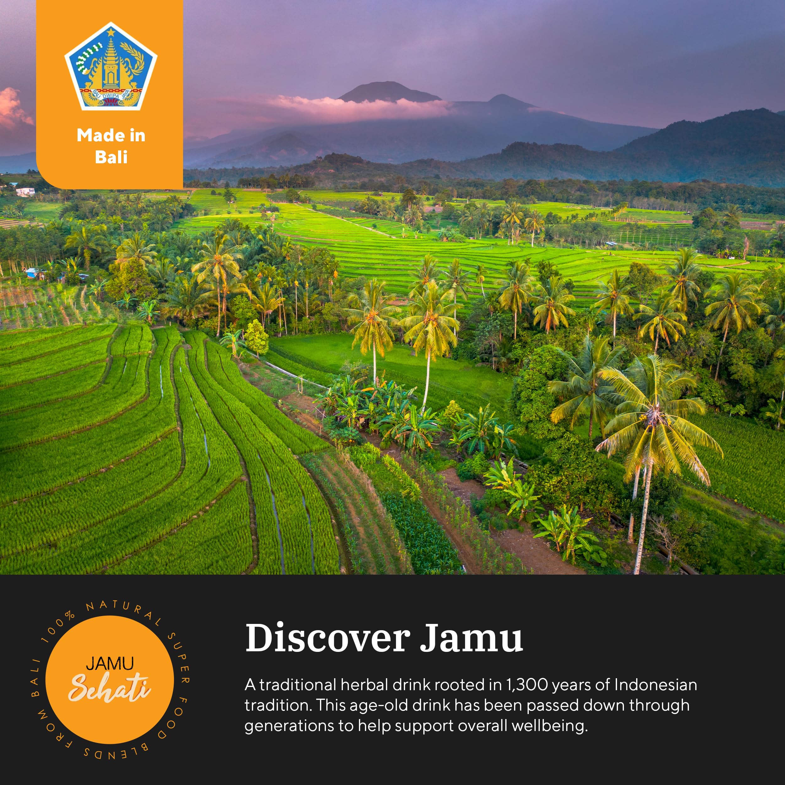Jamu workshop in Bali crafting blends