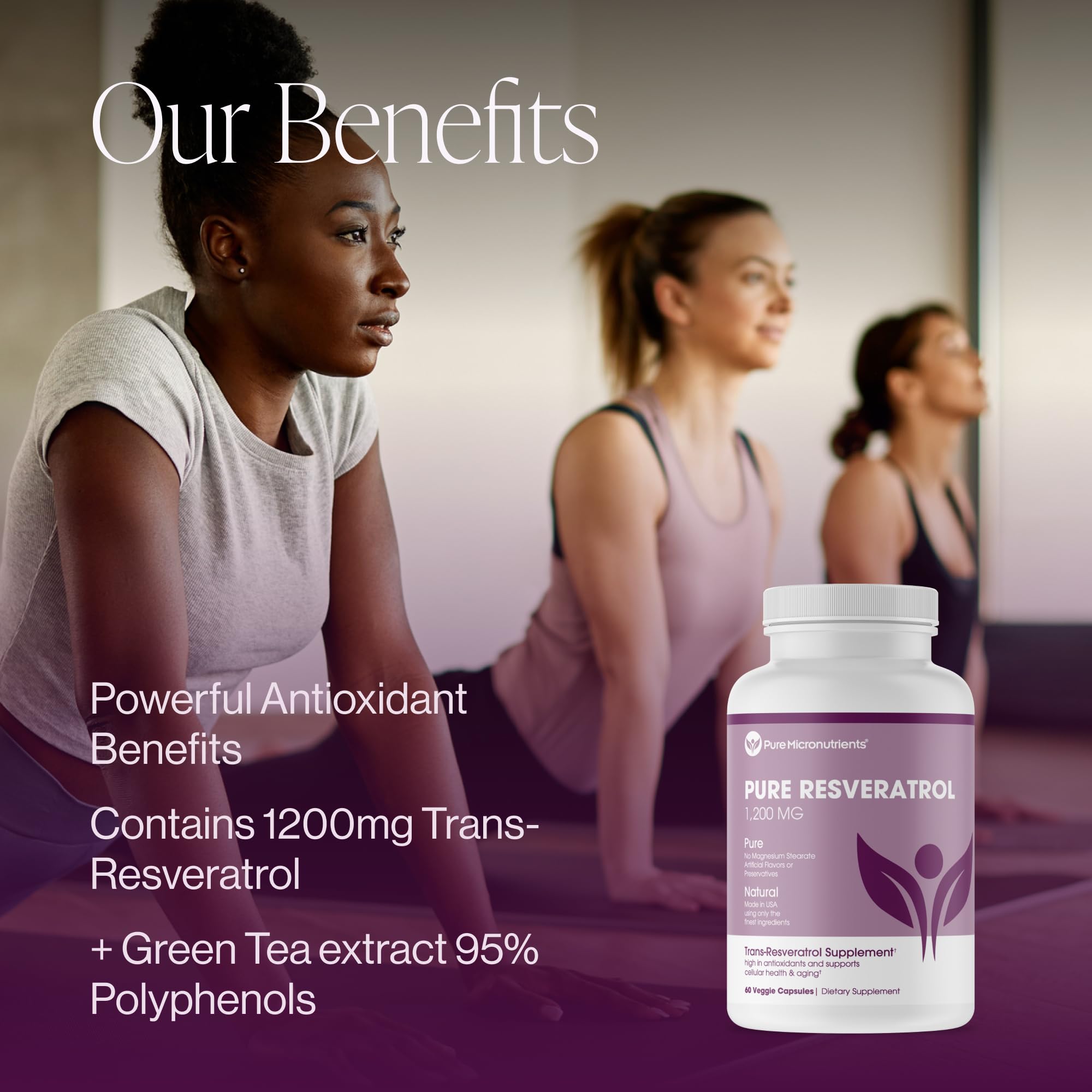 Japanese Knotweed extract 1200mg per serving