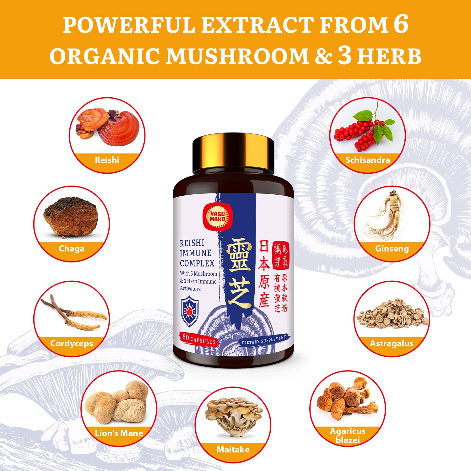 Organic vegan mushroom capsules in packaging