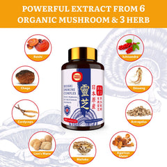 Organic vegan mushroom capsules in packaging