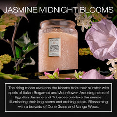 Close-up of Jasmine Midnight Blooms fragrance in 18 oz Voluspa candle