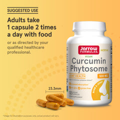 Illustration of antioxidant support and joint health
