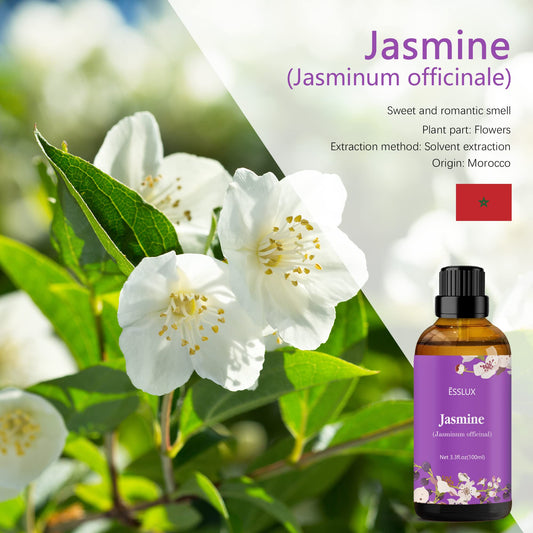 Jasmine essential oil being used with aroma diffuser for home fragrance