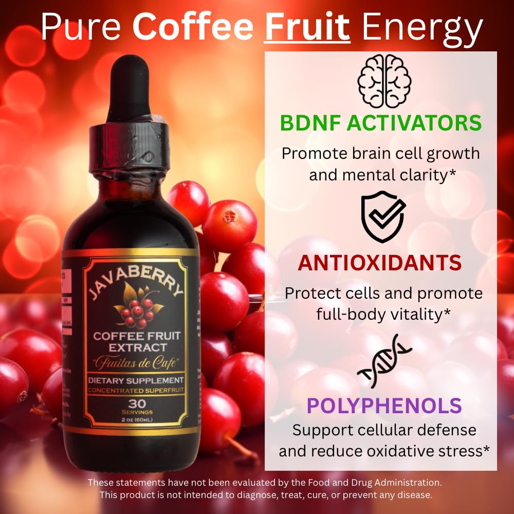 Illustration of coffee fruit highlighting antioxidants