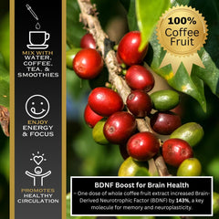 Vegan and non-GMO certification badge with natural ingredients