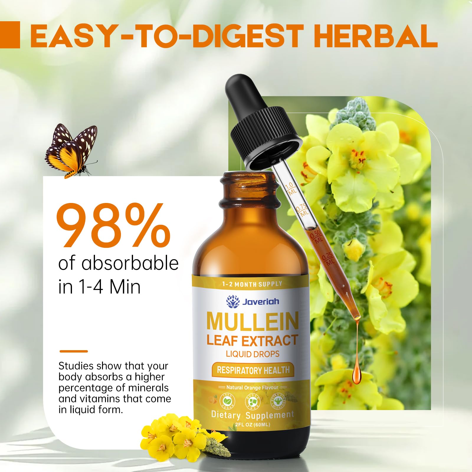 Cordyceps militaris in Javeriah Mullein Drops