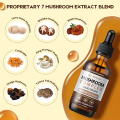 Lions Mane mushroom extract in tincture
