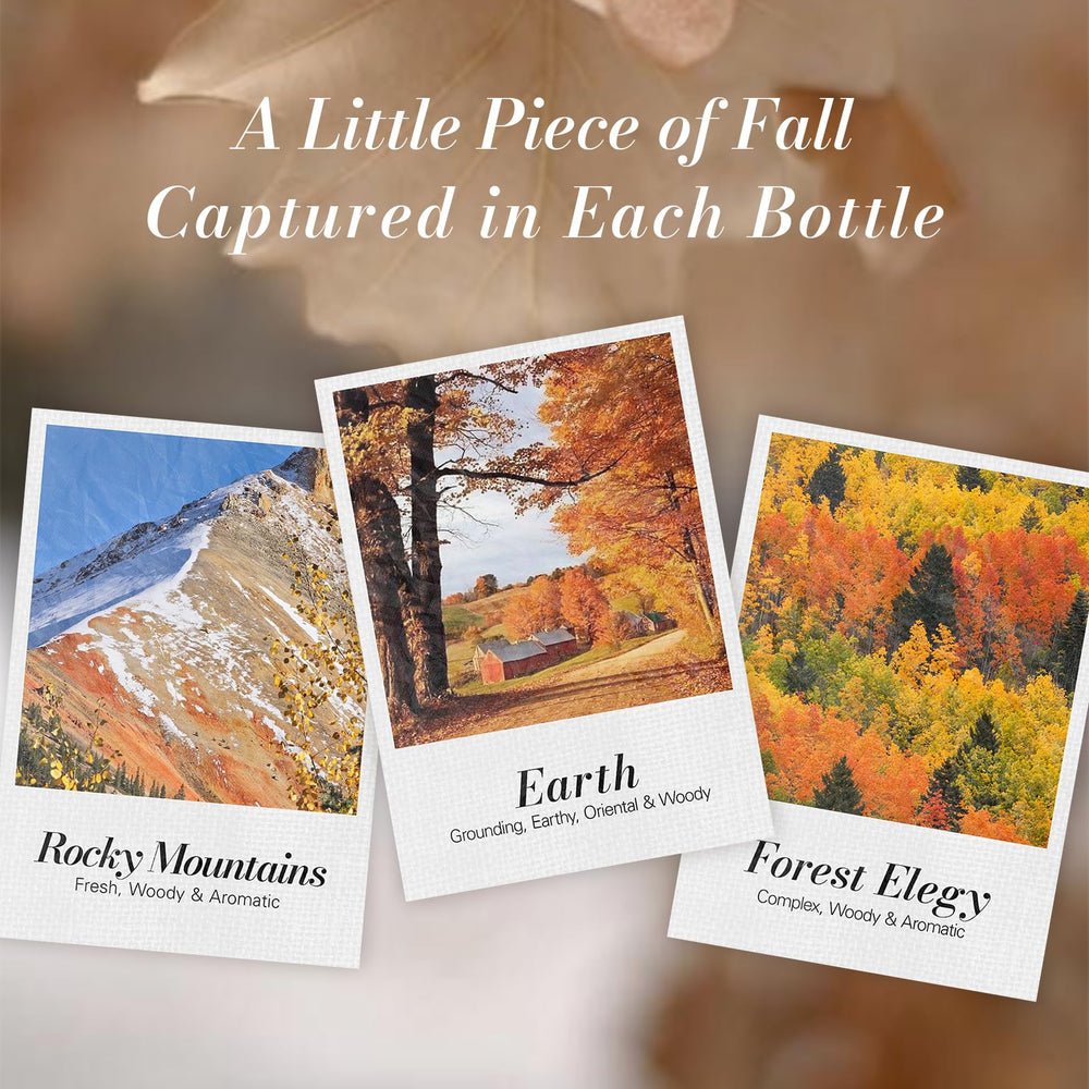 Elegant autumn gift set packaging and contents