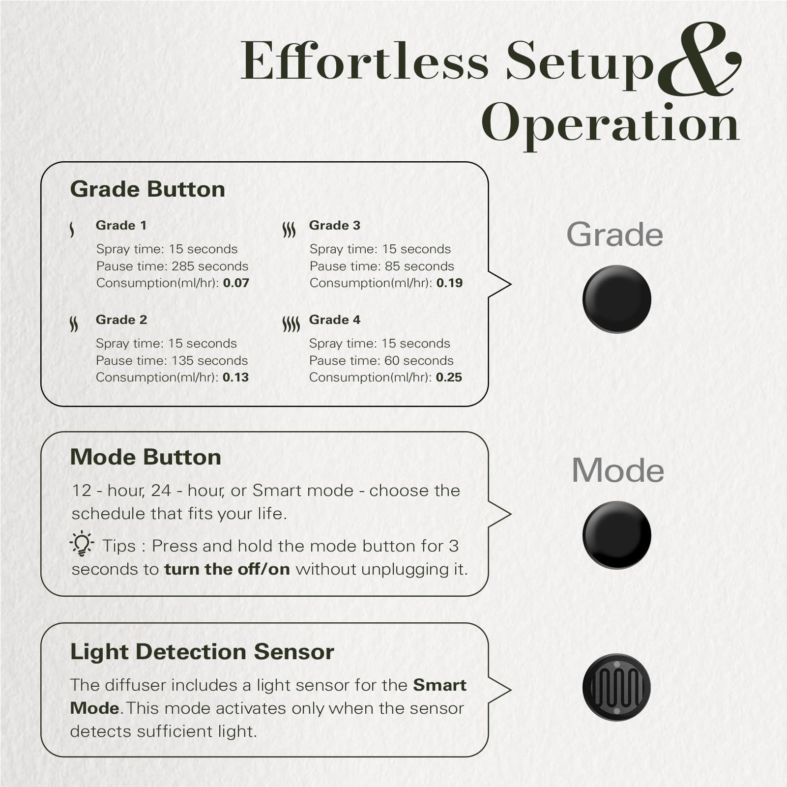 Rotatable wall plug for vertical or horizontal outlet