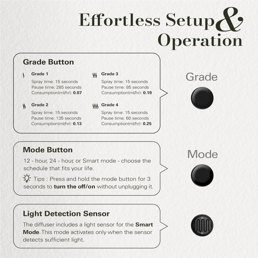 Rotatable wall plug for vertical or horizontal outlet