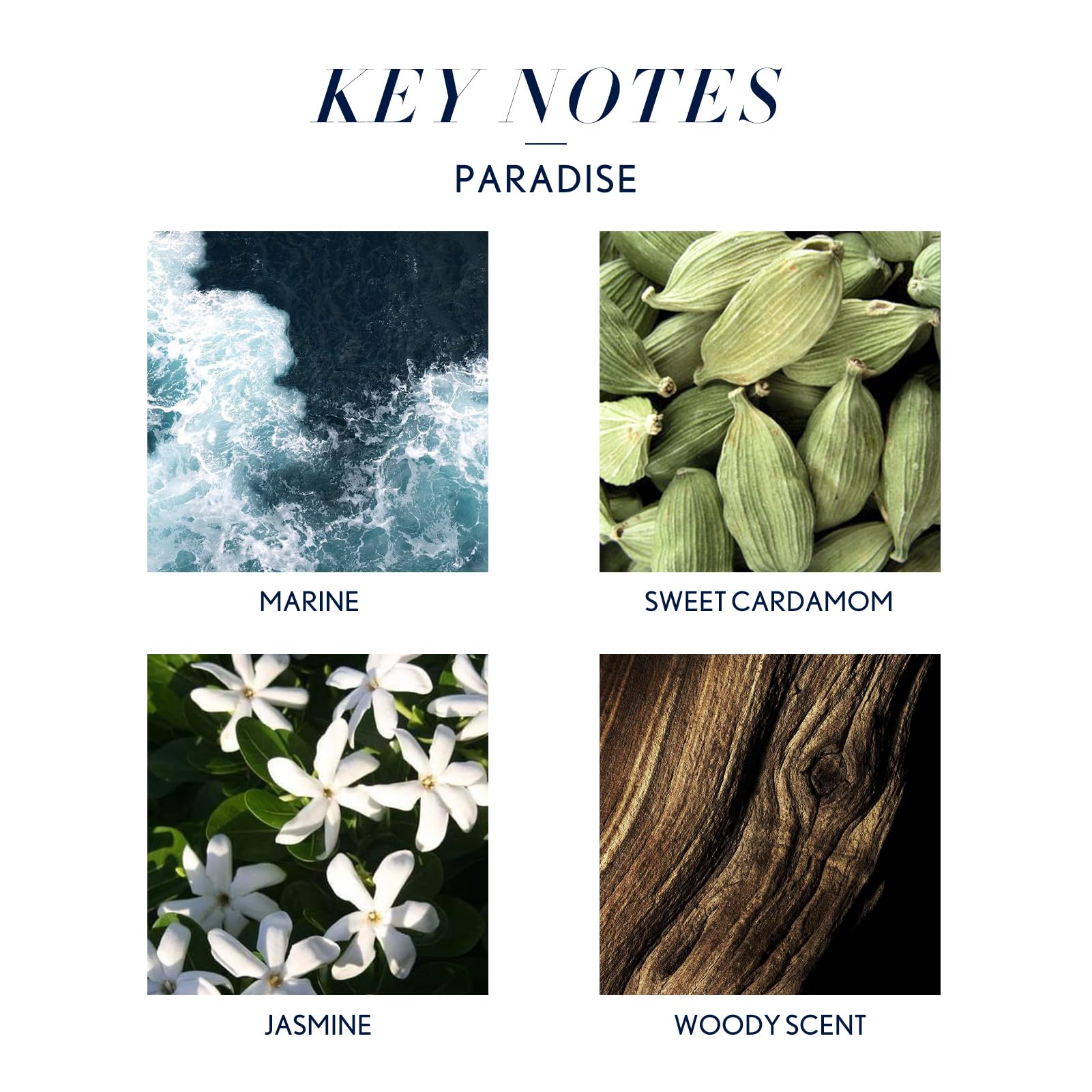 Close-up of cardamom, jasmine, and hyacinth blend