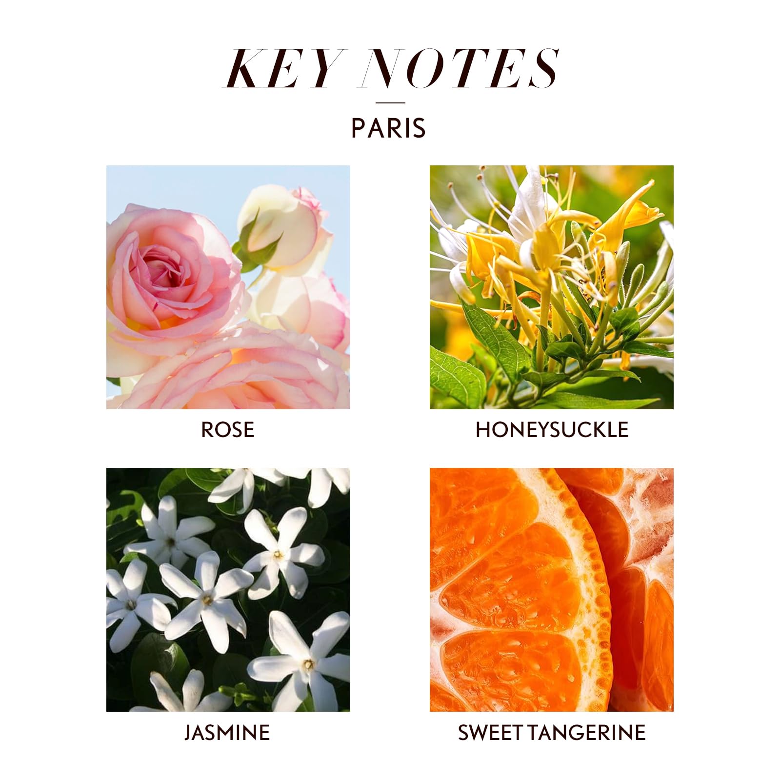 JCLOUD Paris essential oil packaging premium aroma hint