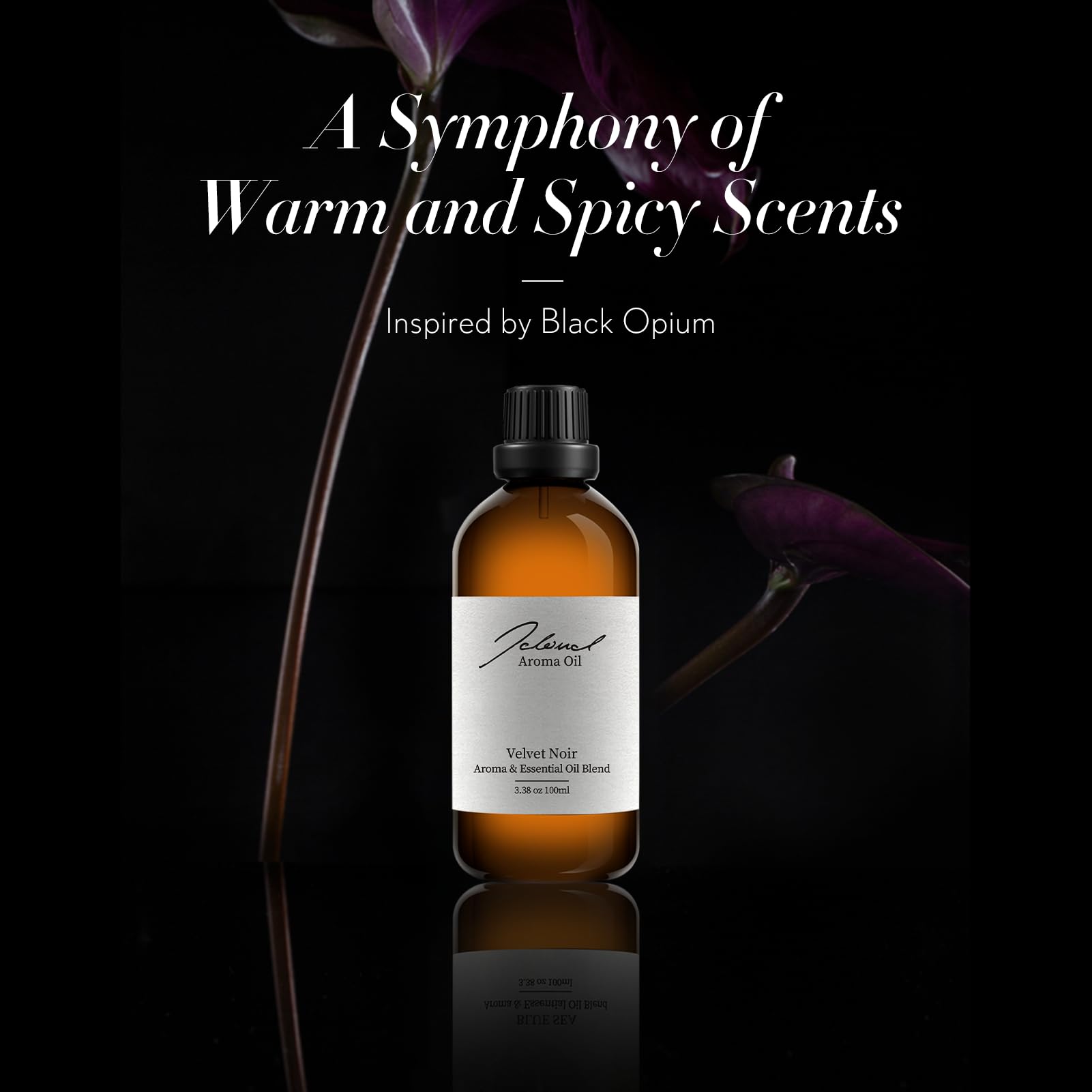 Velvet Noir diffuser oil with notes of blackcurrant and jasmine