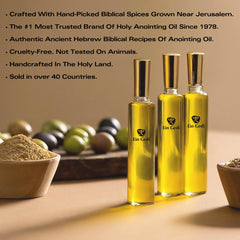 Holy Land inspired packaging and branding for Ein Gedi oil