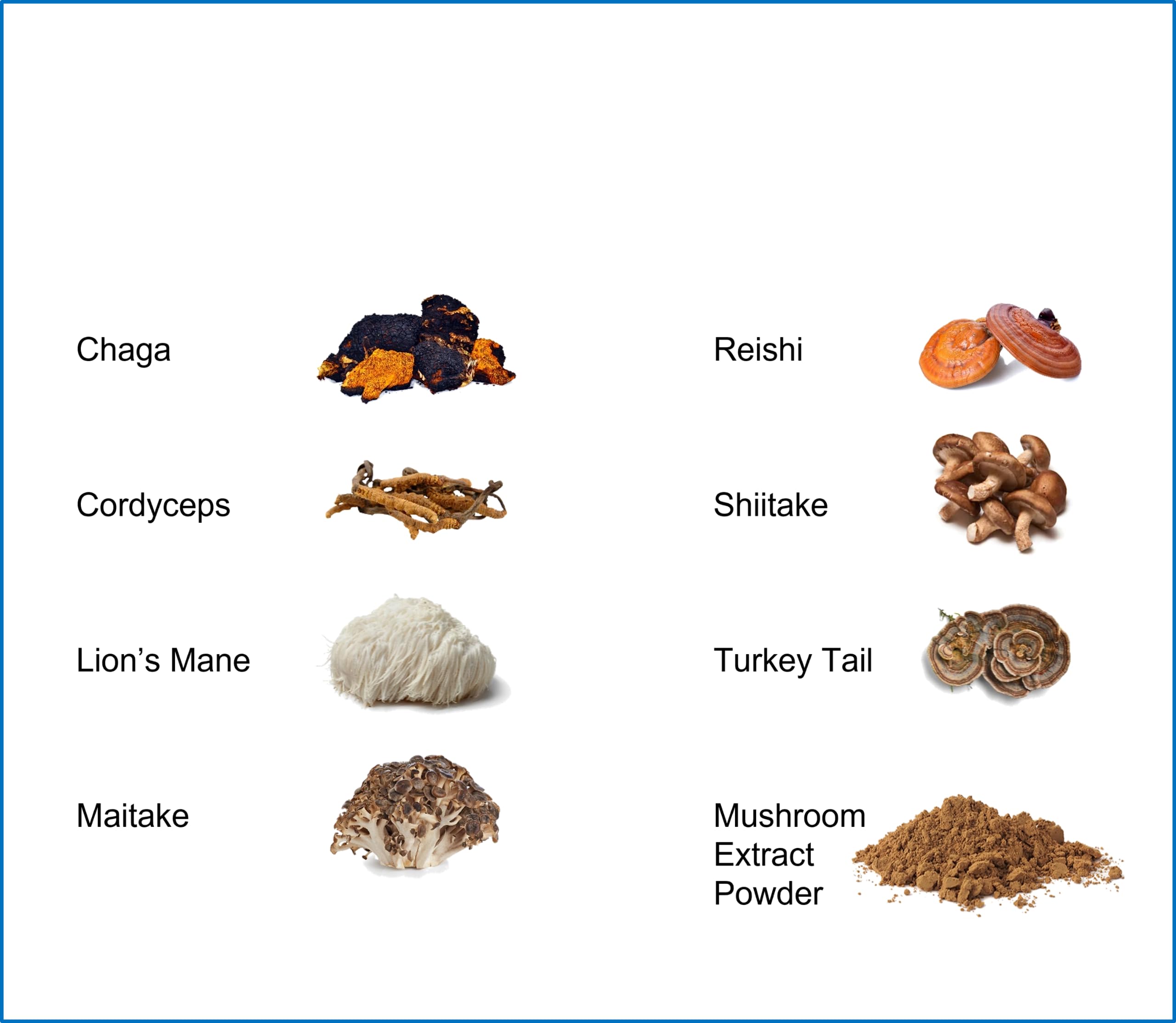 Mushroom varieties included in Jetsu Pure 7: Chaga, Cordyceps, Maitake, Reishi, Shiitake, Turkey Tail, Lion's Mane