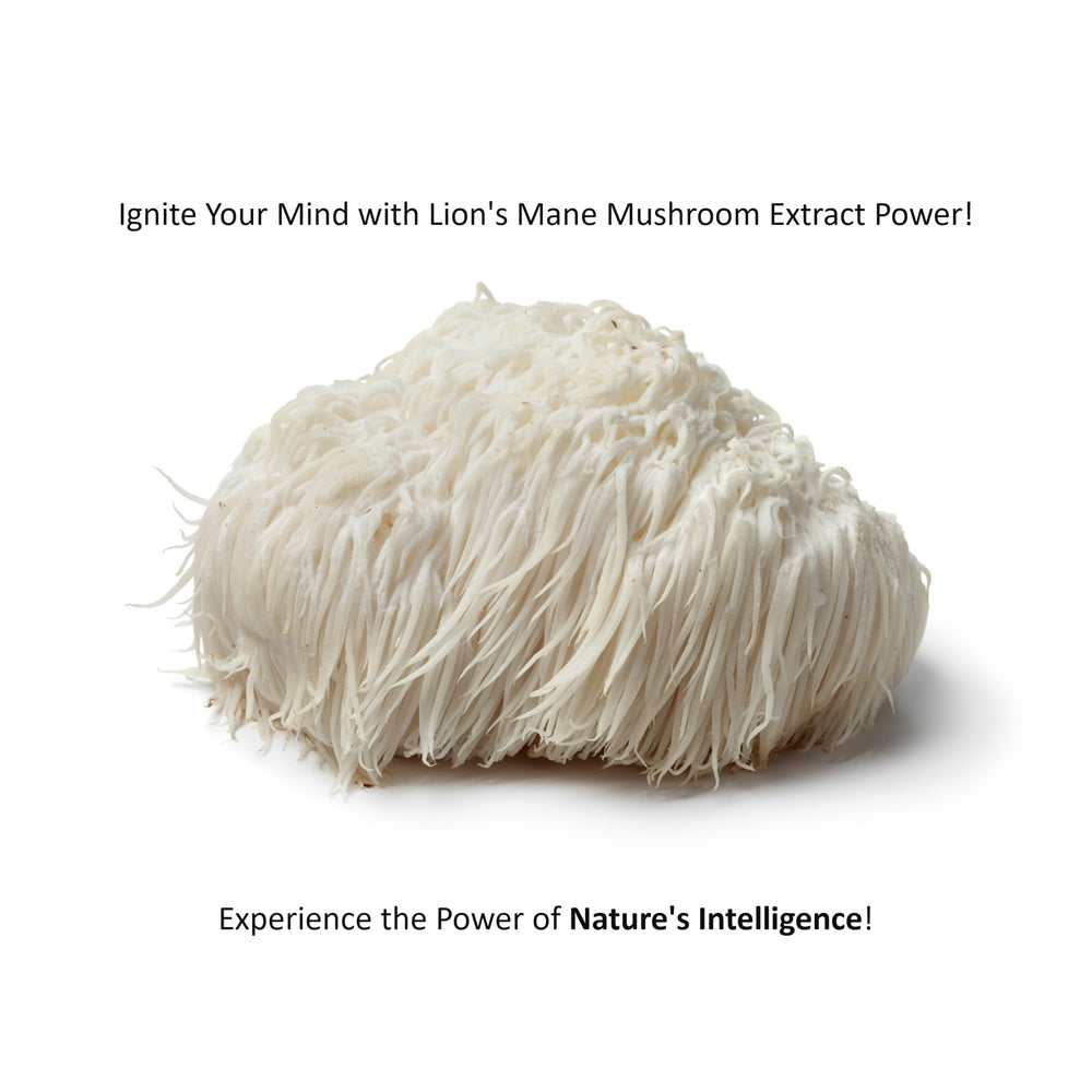 Mixing Jetsu Pure 7 Mushroom Powder into tea or smoothie