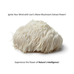Mixing Jetsu Pure 7 Mushroom Powder into tea or smoothie