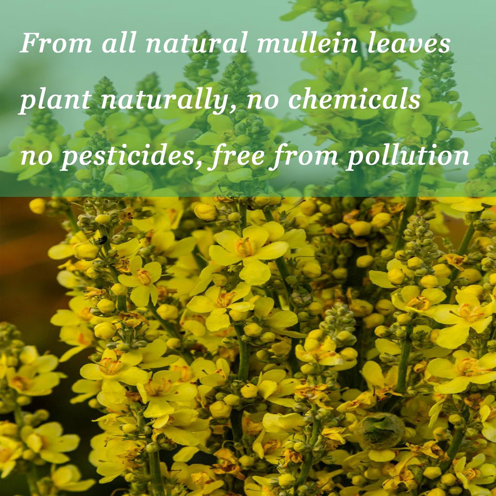 Person using mullein drops for breathing comfort in a lifestyle setting