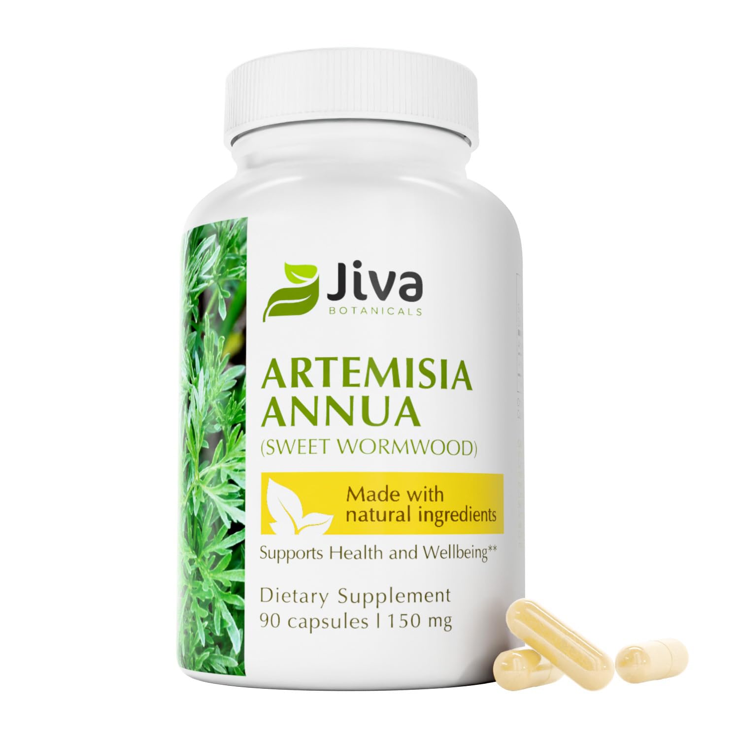 Jiva Botanicals Artemisia Annua Wormwood capsules bottle — 90 count (hero image)