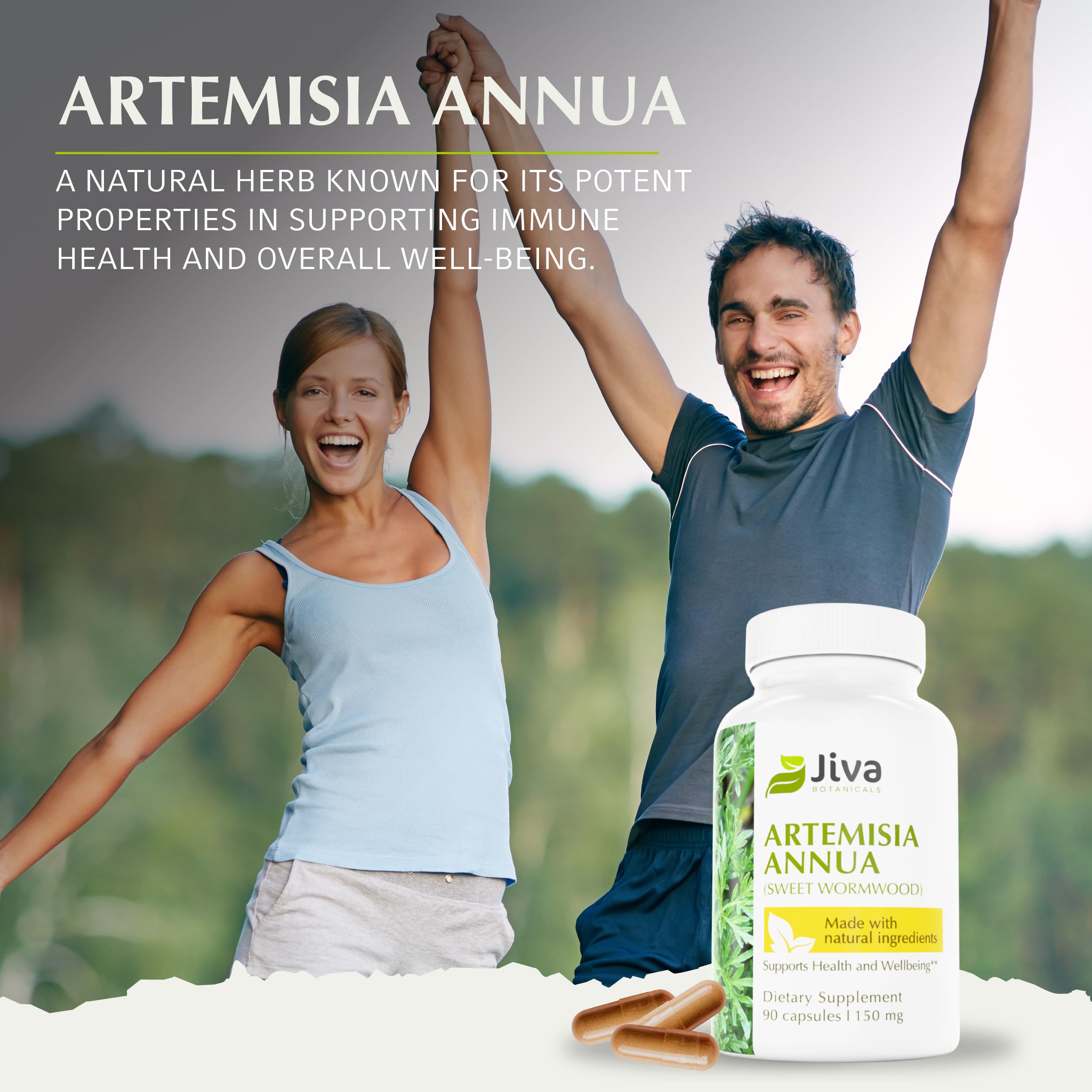 Artemisia annua immune support image for Jiva Botanicals capsules