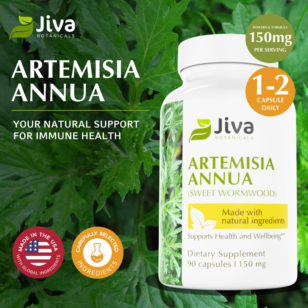 Wormwood capsules highlighting liver health benefits for Jiva Botanicals