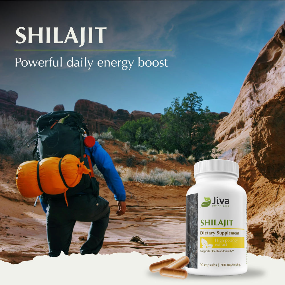 Vegan and gluten-free Shilajit capsules
