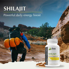 Vegan and gluten-free Shilajit capsules