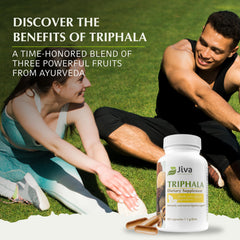 Amalaki, Bibhitaki and Haritaki fruits used in Triphala formula