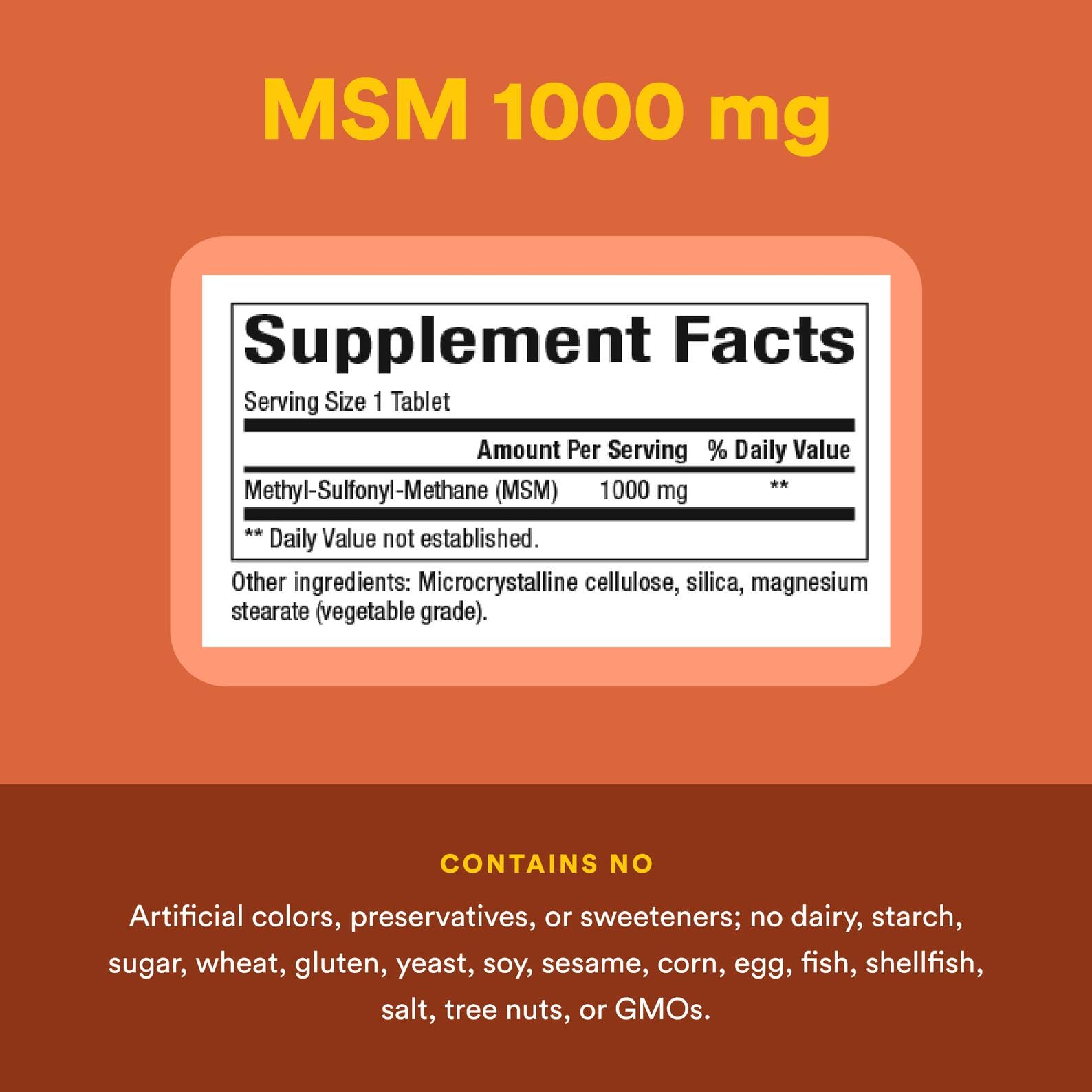 Illustration of joints and muscles highlighting MSM benefits