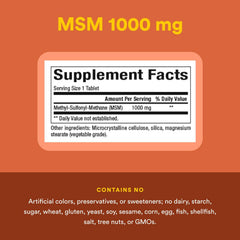 Illustration of joints and muscles highlighting MSM benefits