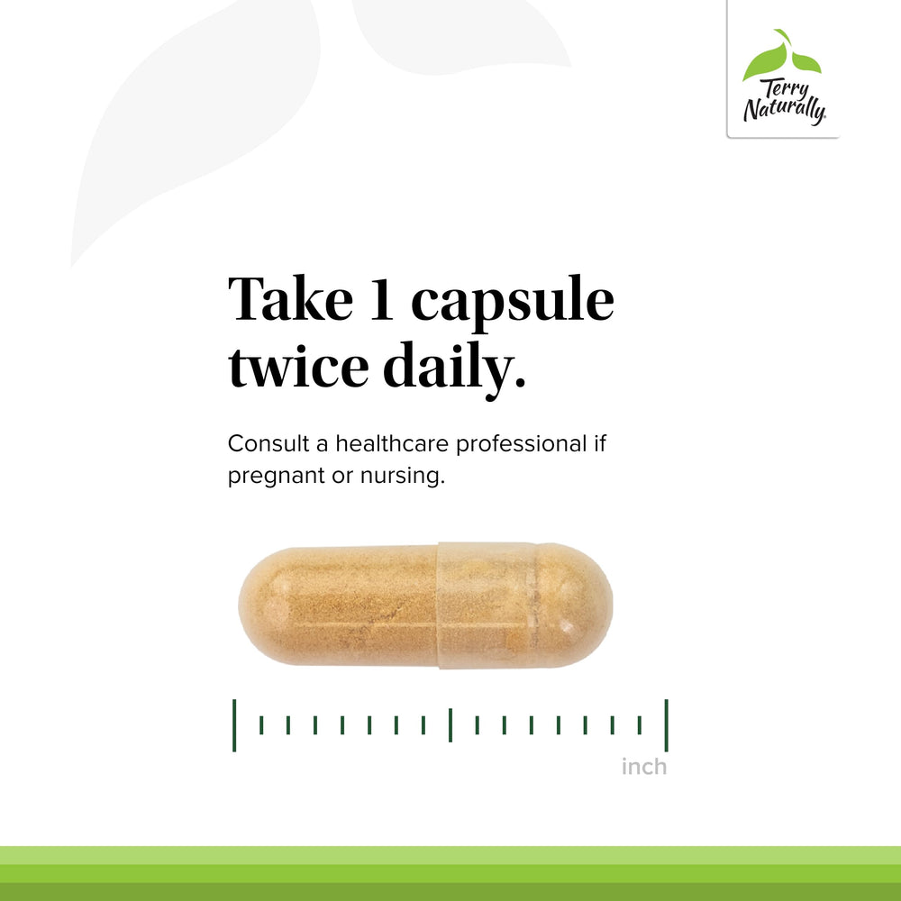 Joint mobility supplement capsules on a white background