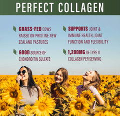 Illustration of joint health benefits from Type II Collagen