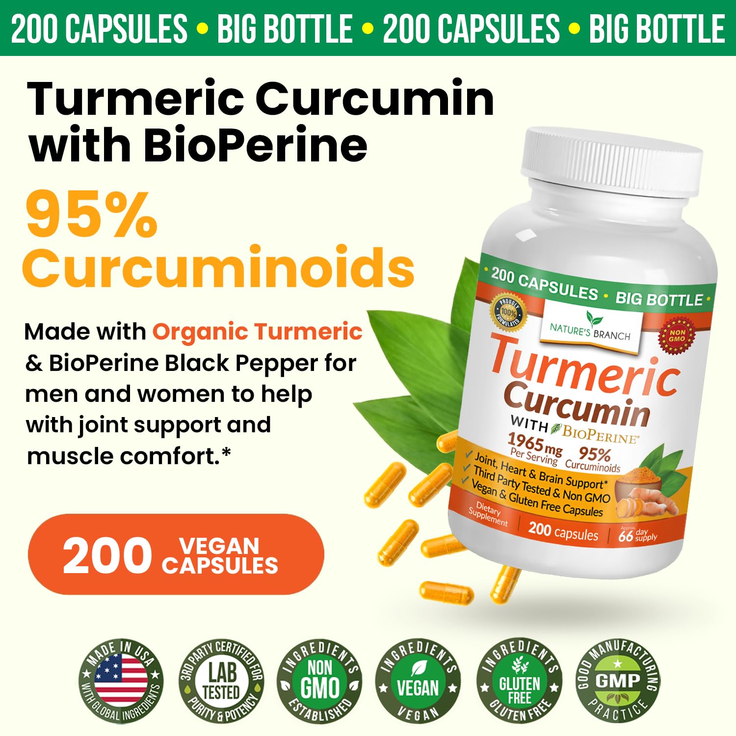 Illustration showing joint support benefits of turmeric curcumin