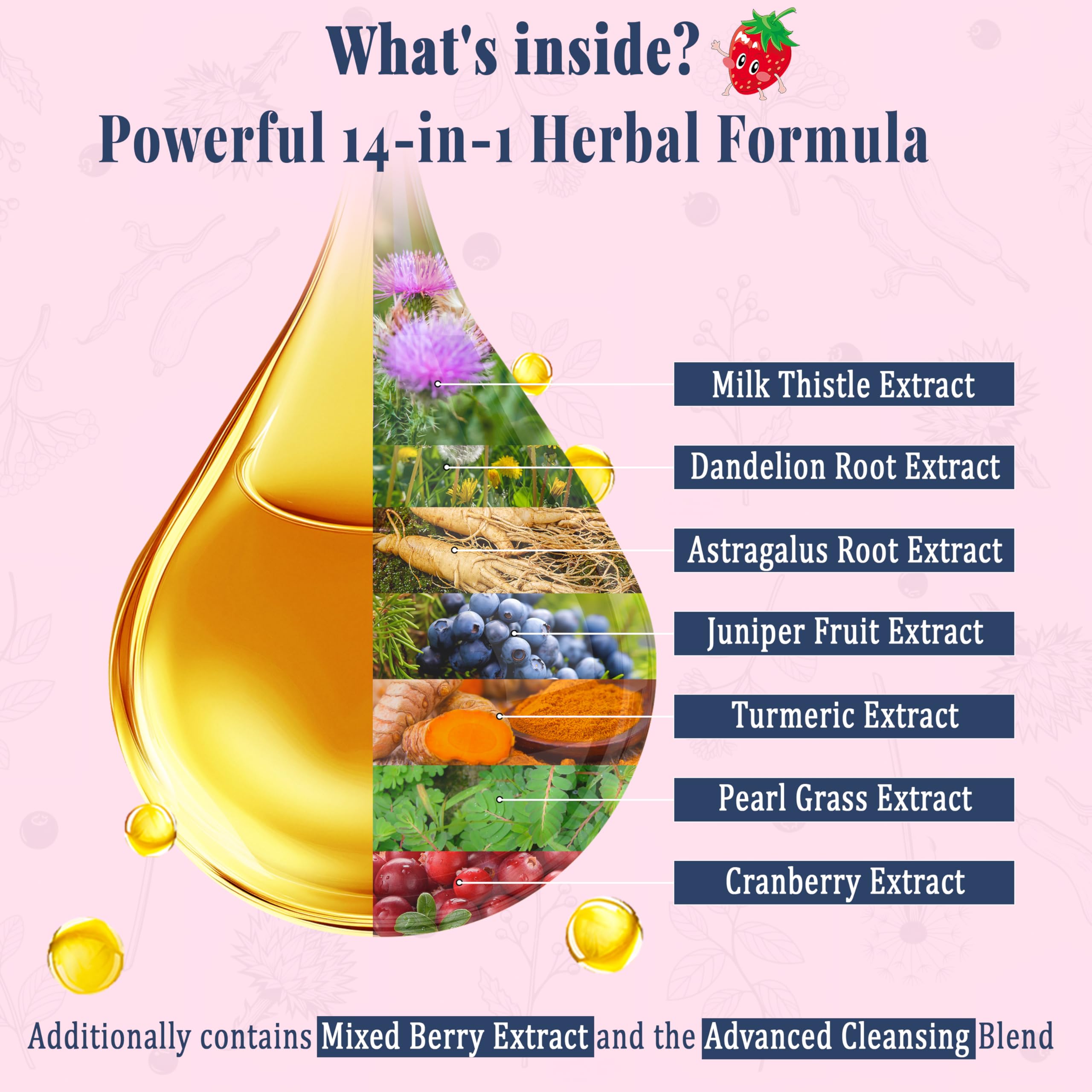 Cranberry and Milk Thistle herbal ingredients