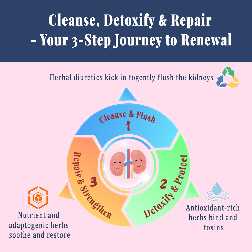 Dandelion and Juniper Fruit imagery for kidney detox