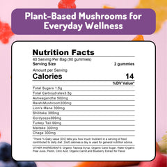 KAACHLI Ashwagandha and Mushroom Gummies back label with nutrition facts