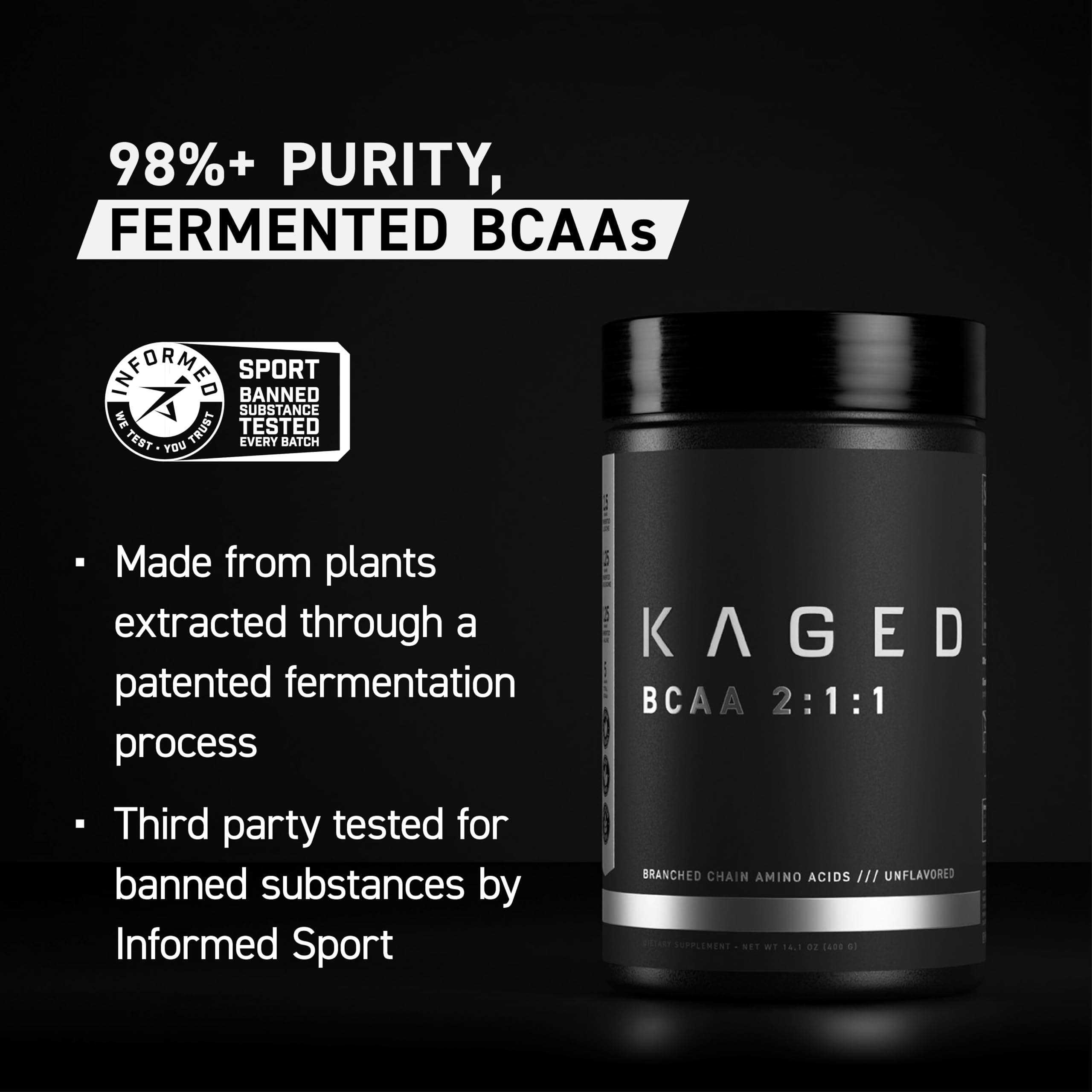 Fermented plant-based BCAA ingredients
