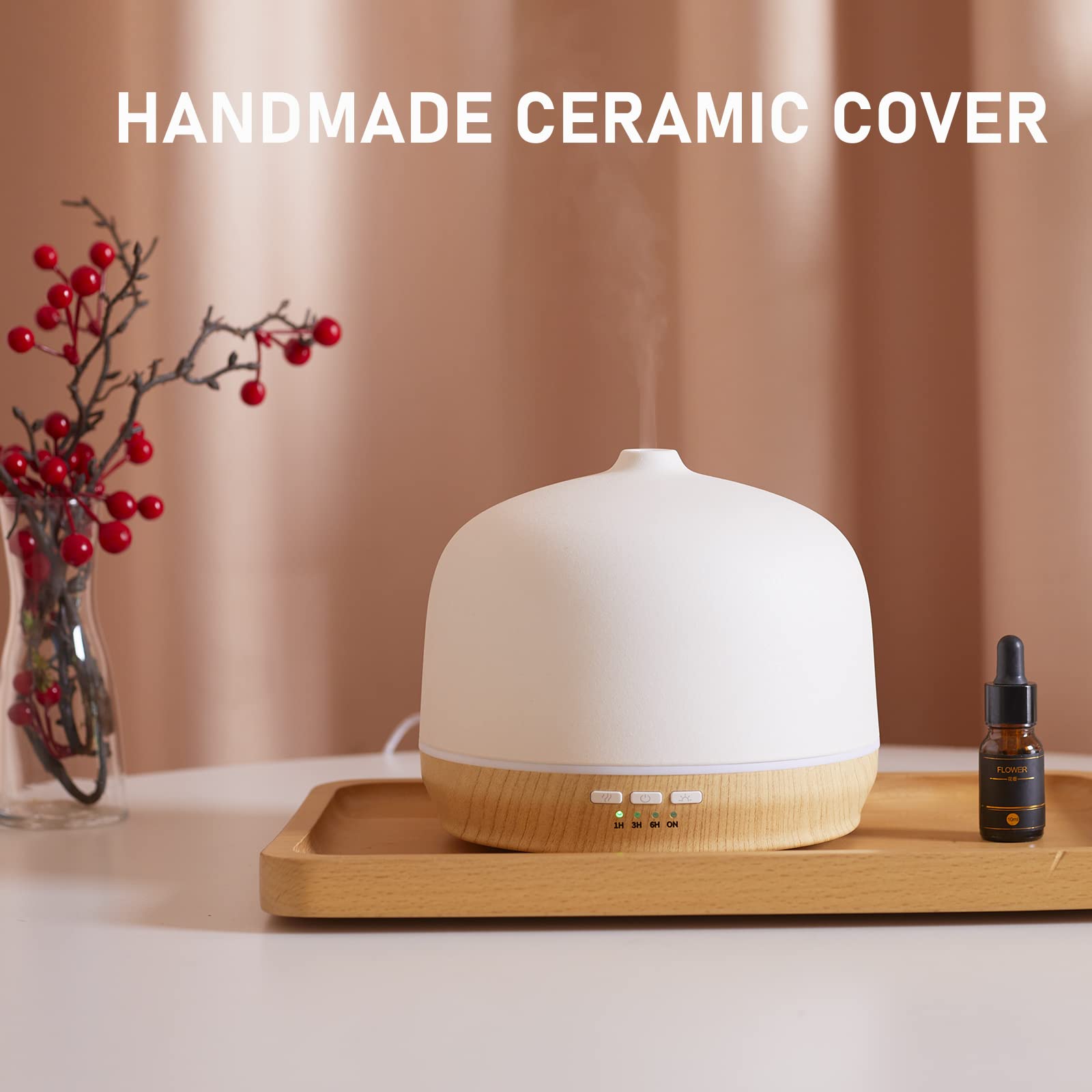 Diffuser with independent LED light and mist feature