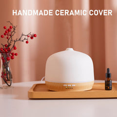 Diffuser with independent LED light and mist feature