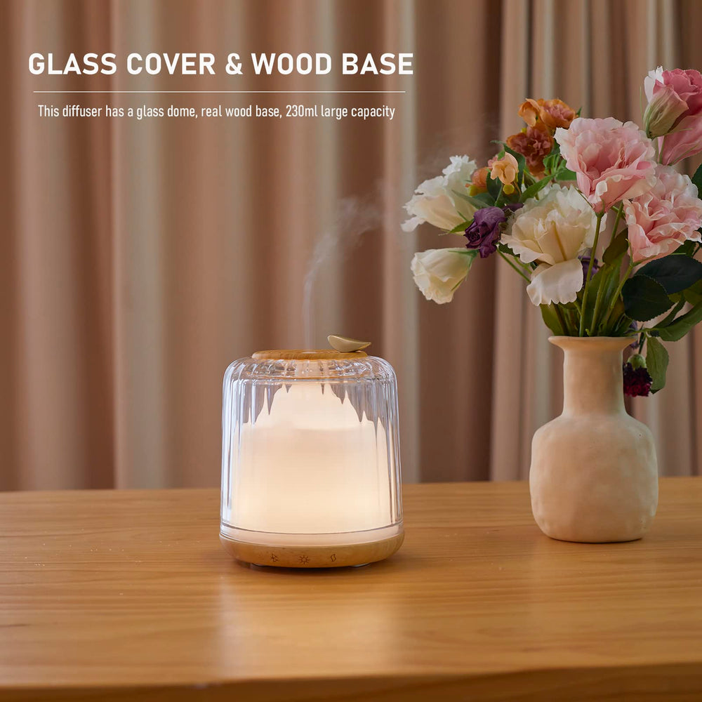 Glass dome design highlighting wood base on Kakoda diffuser