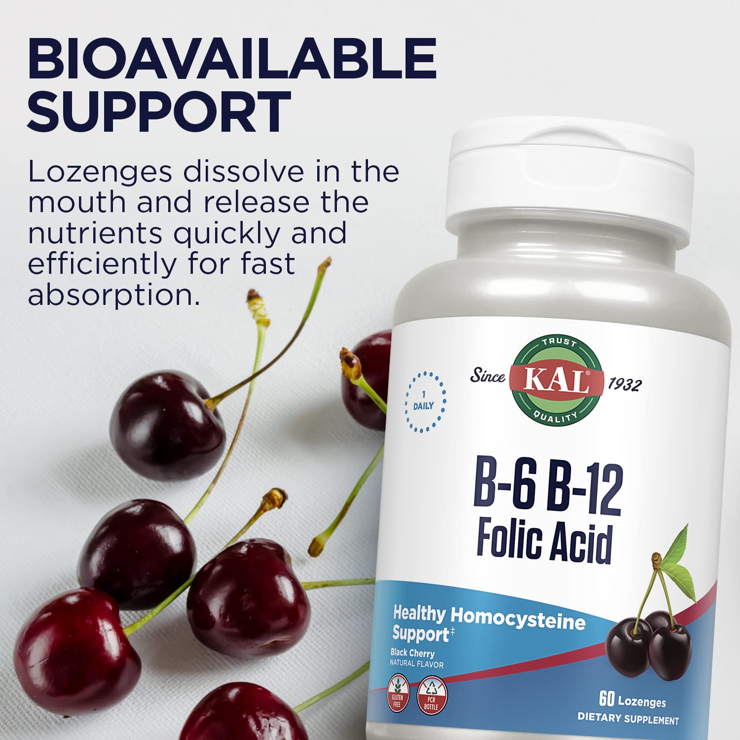 Graphic illustrating energy metabolism support from B vitamins