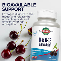 Graphic illustrating energy metabolism support from B vitamins