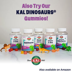 Nutrition facts panel and serving size for KAL magnesium powder for kids